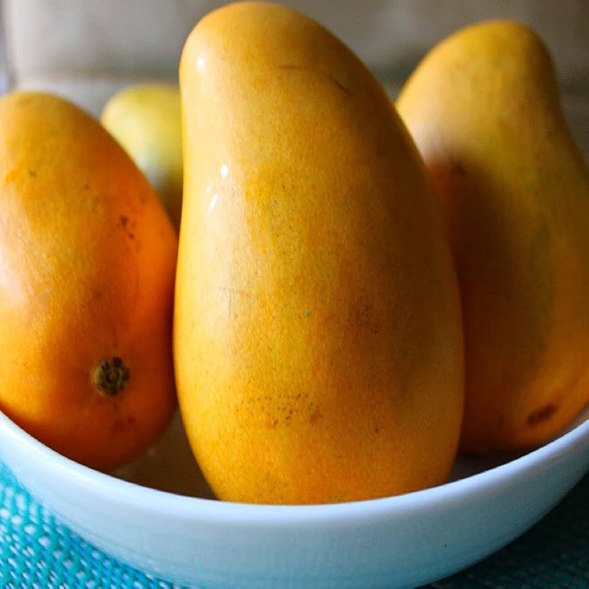 Ataulfo Mango Fruit Seeds for Planting Organic, High-Yield, Easy to Grow, Heirloom seeds