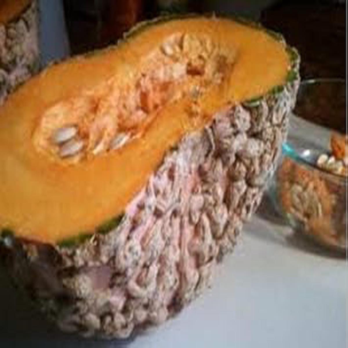 Brown Pumpkin Fruit Seeds  Heirloom, Non-GMO, High Germination Organic Garden Seeds for Planting
