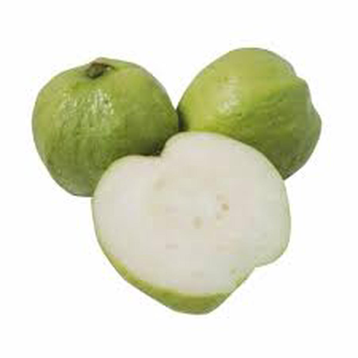 Crystal Guava (Indonesia) Fruit Seeds for Planting Sweet Tropical Harvests, Heirloom & Non-GMO Seeds
