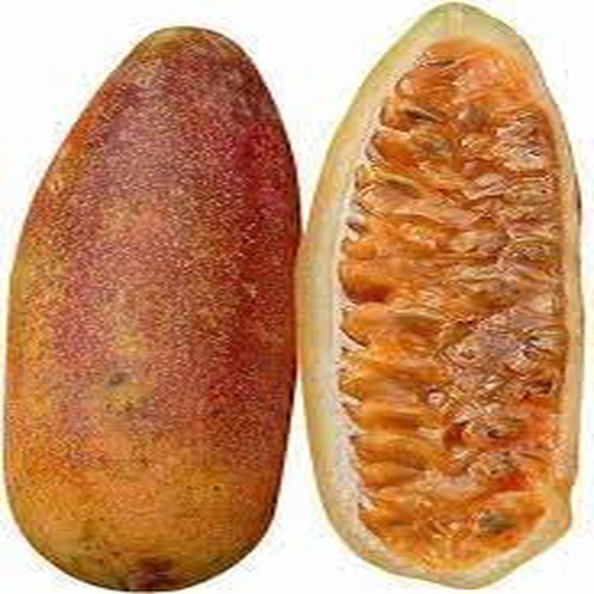 Curuba Fruit Seed Set | Grow Unique, Tangy Passionfruit-Like Fruits