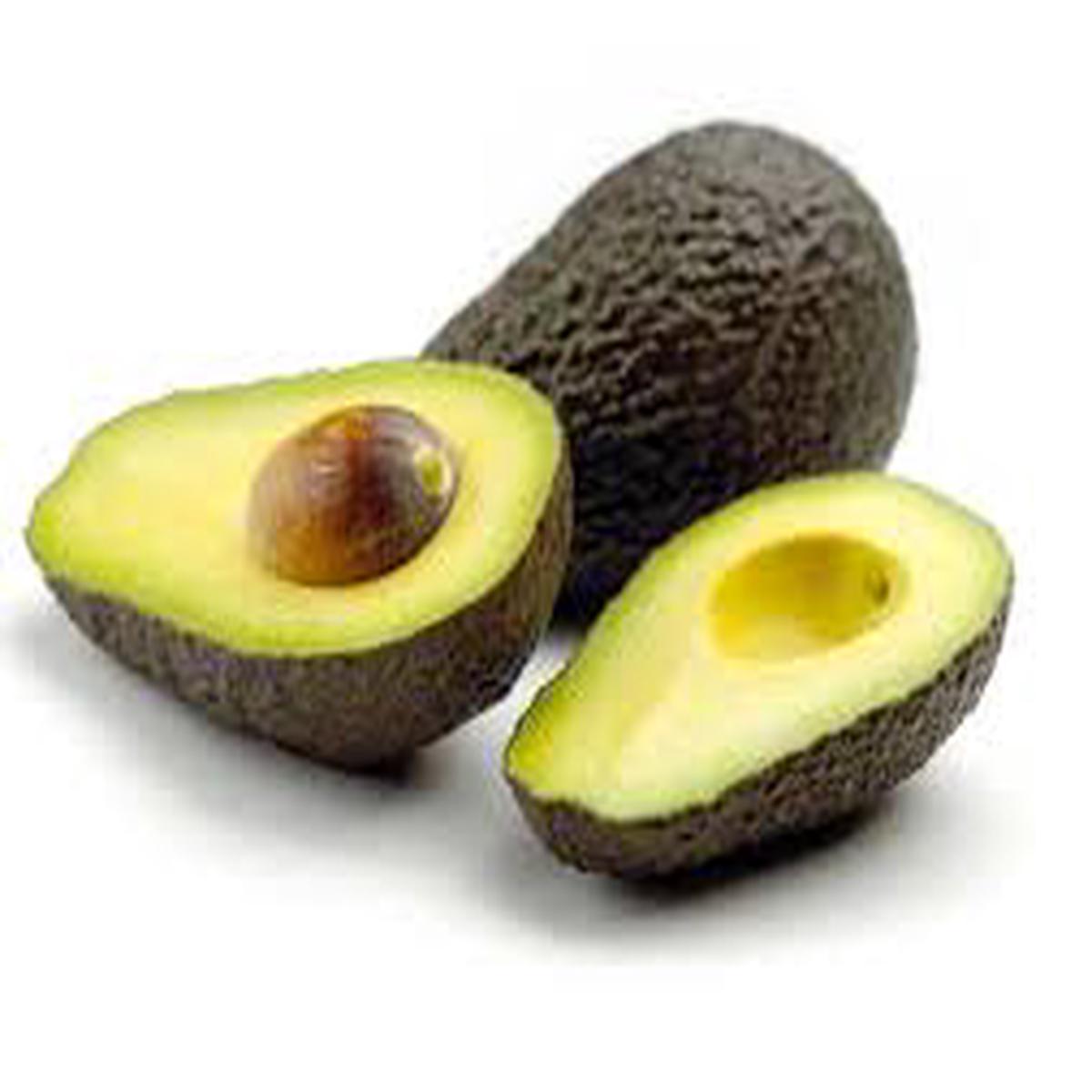 GMO Free Brown Avocado Fruit Seeds for Planting Heirloom Seeds for Home Garden & Healthy Avocados