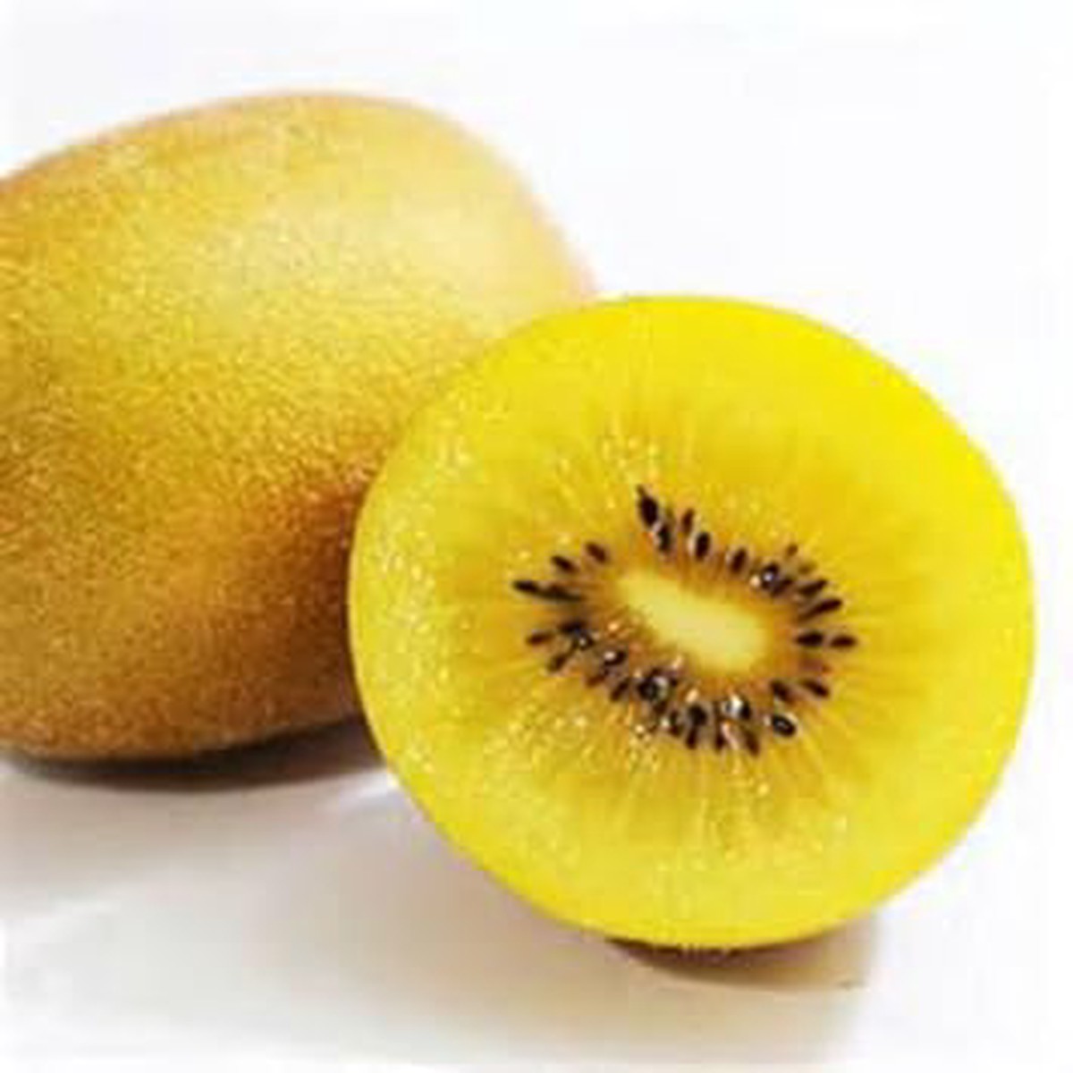 Golden Kiwi Fruit Seeds for Planting Heirloom Non-GMO High Germination Organic Garden Seeds
