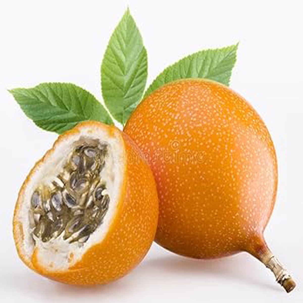 Granadilla Fruit Seeds for Planting Heirloom Non-GMO High Germination Organic Garden Seeds