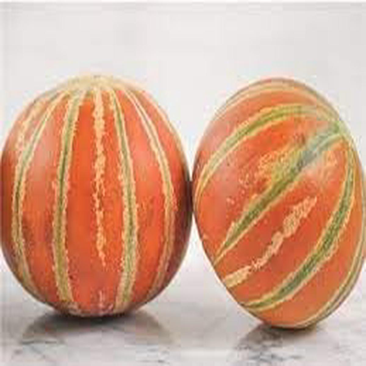 Kajari Melon Seeds Sweet & Unique Homegrown Melon Variety