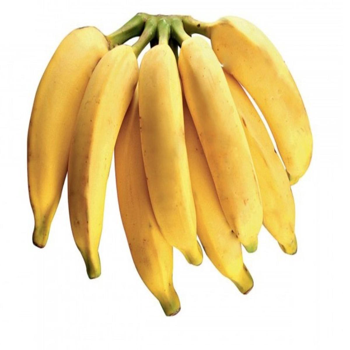 Pacovan Banana Fruit Seeds for Planting Grow Sweet, Exotic Bananas in Your Backyard, Heirloom & Non-GMO Seeds