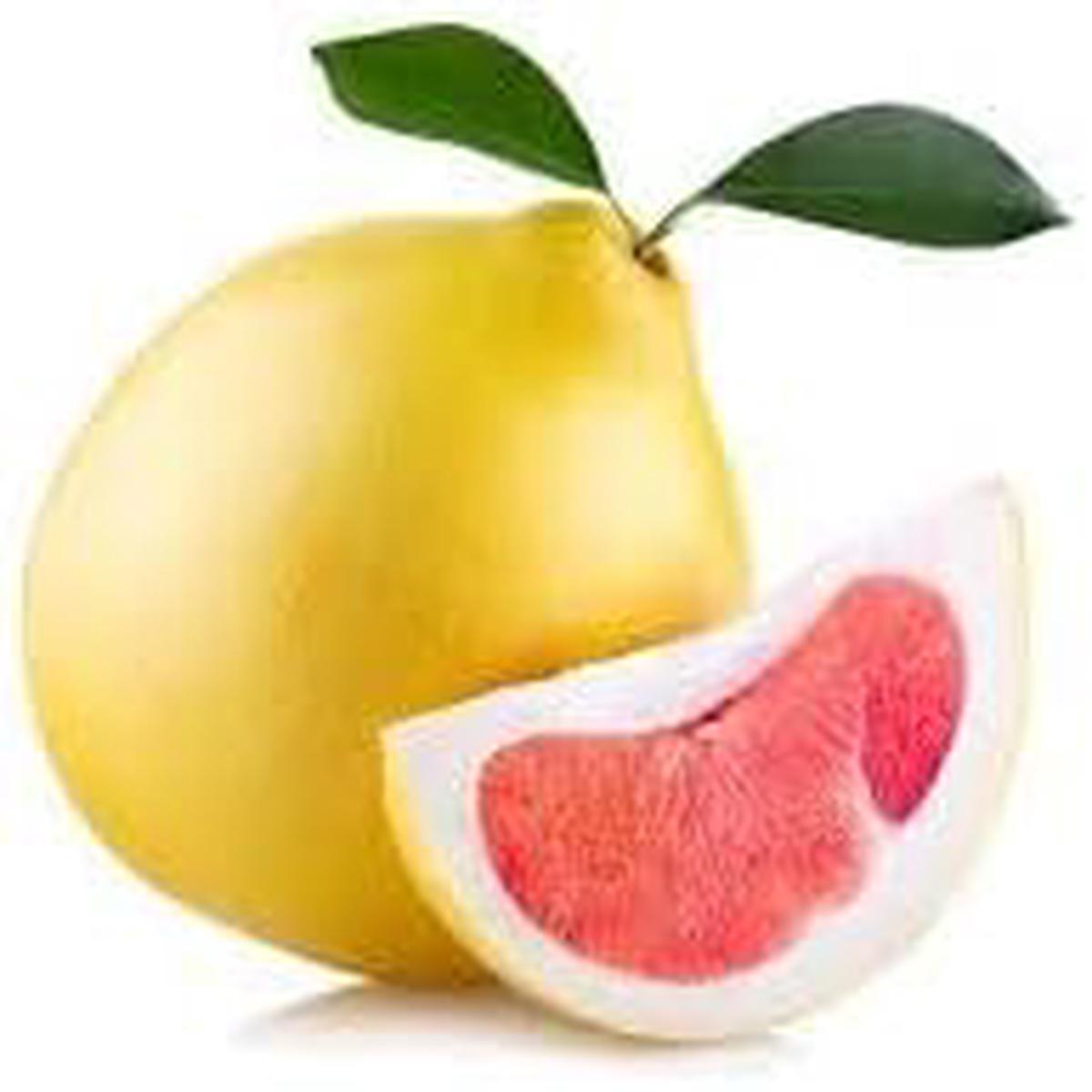 Pomelo Fruit Seeds for Planting  NON GMO Citrus Seeds for Home Garden