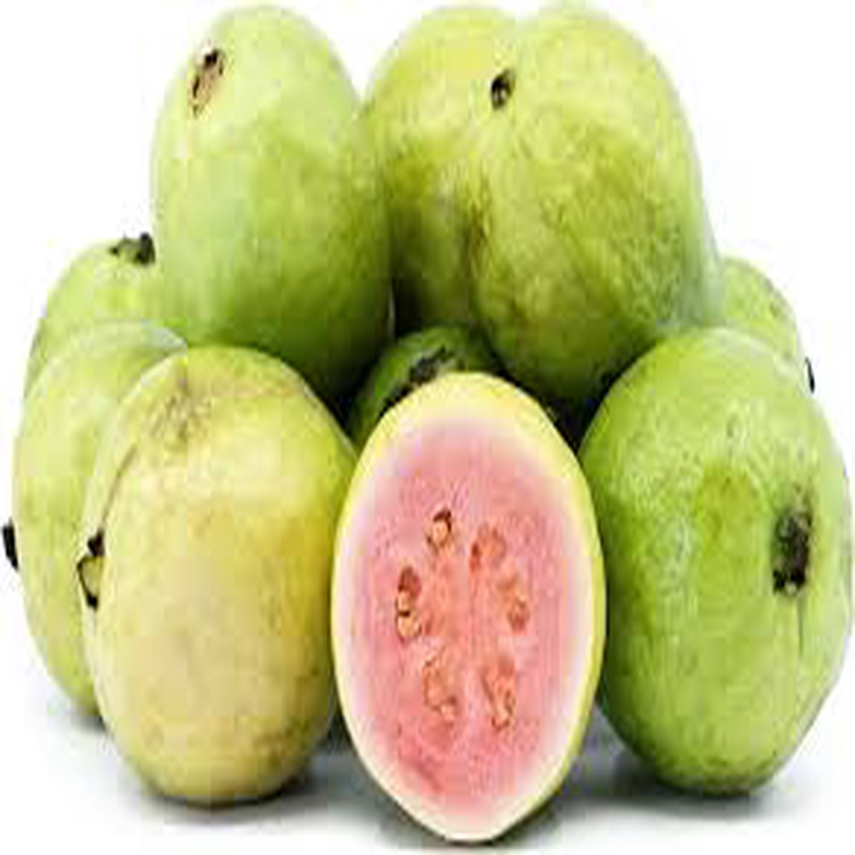 Red Guava Fruit Seeds for Planting Naturally Sweet Tropical Guavas, Heirloom & Non-GMO Seeds