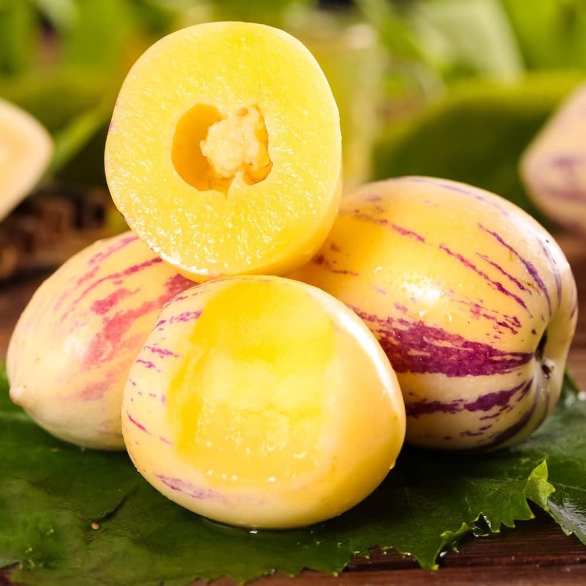Sugar Gold Pepino Melon Fruit Seeds for Planting Heirloom Non-GMO High Germination Organic Garden Seeds