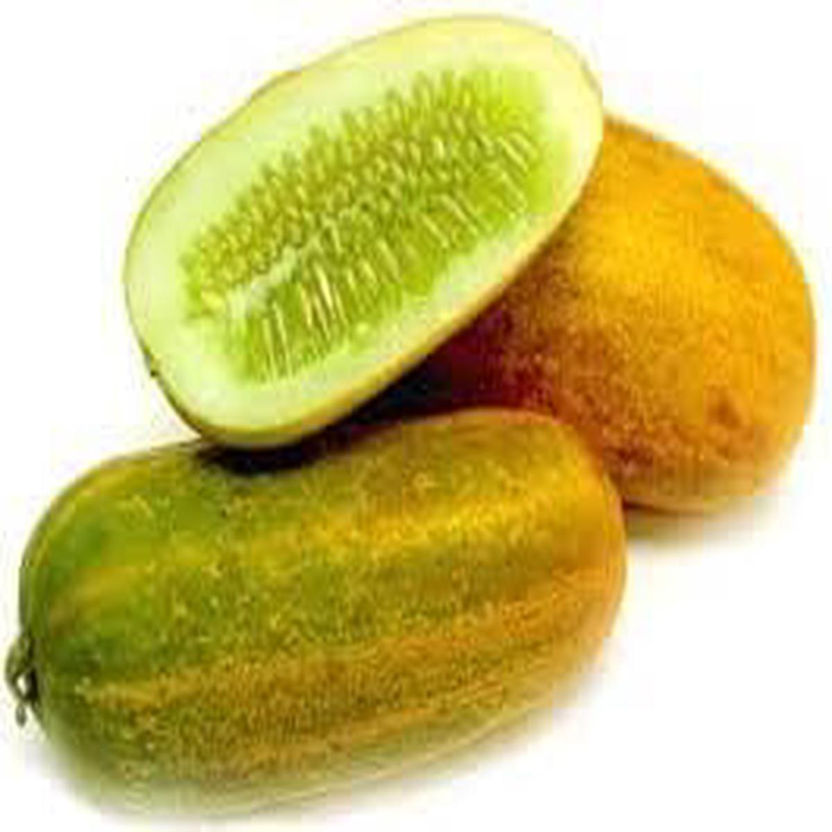 Super Big Winter Melon Seeds for Planting | Heirloom Non-GMO Organic Seeds for High-Yield Waxgourd