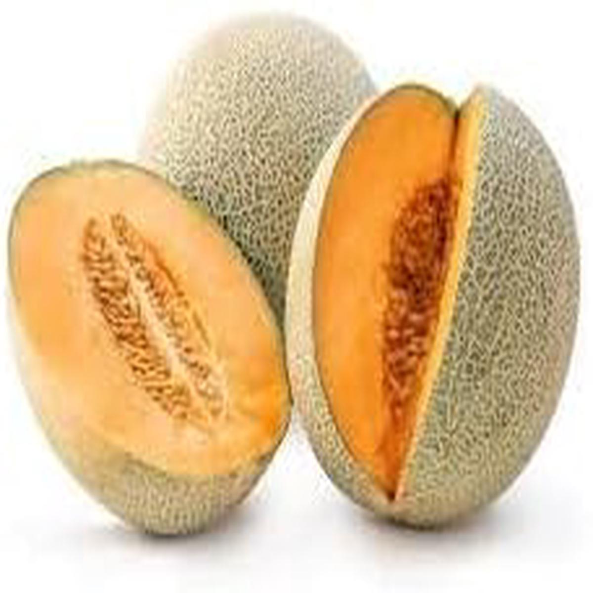 Sweet Hami Melon Organic Fruit Seeds for Planting Juicy, Flavorful Melons, Heirloom & Non-GMO, High Germination