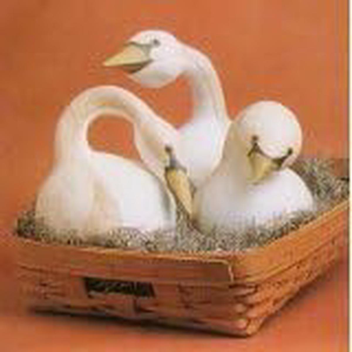 White Swan Gourd Vegetable Seeds for Planting  Unique, Decorative Gourds, 100 pcs, Heirloom & Non-GMO, High Germination