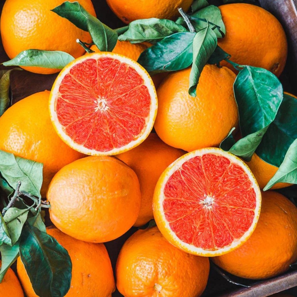 Cara Cara Navel Orange Fruit Seeds Sweet & Juicy Oranges, Heirloom & Non-GMO Seeds for Home Garden