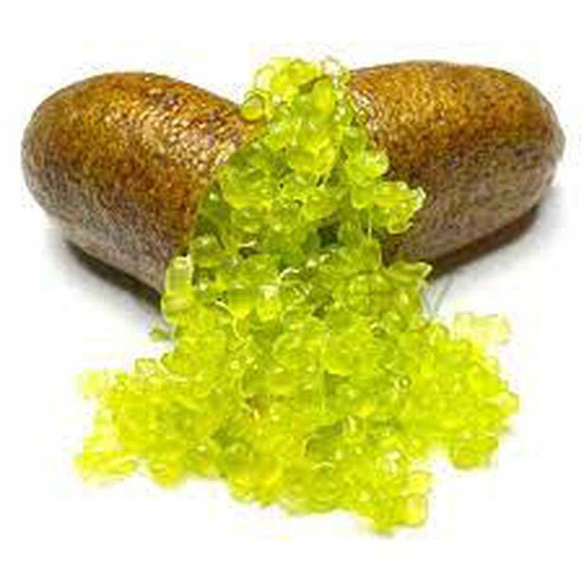 Collette Finger Lime Seeds for Planting  Heirloom, Non-GMO, High Germination Organic Garden Seeds for Zesty, Unique Citrus Gems