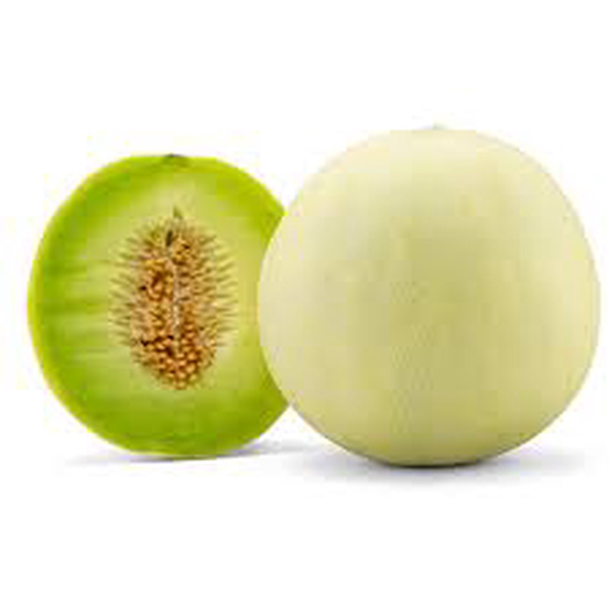 Fresh Green Cantaloupe Fruit Seeds for Planting Heirloom, Non-GMO, High Germination Organic Garden Seeds