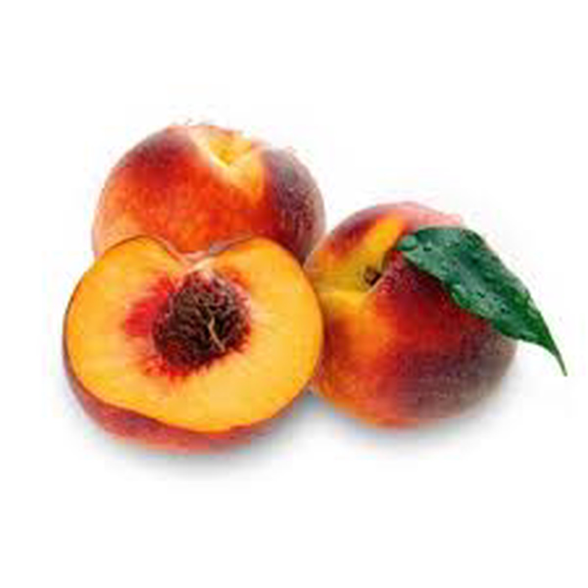 Glohaven Peach Palm Fruit Seeds for Planting Heirloom, Non-GMO, High Germination Organic Garden Seeds for Tropical, Delicious Fruits