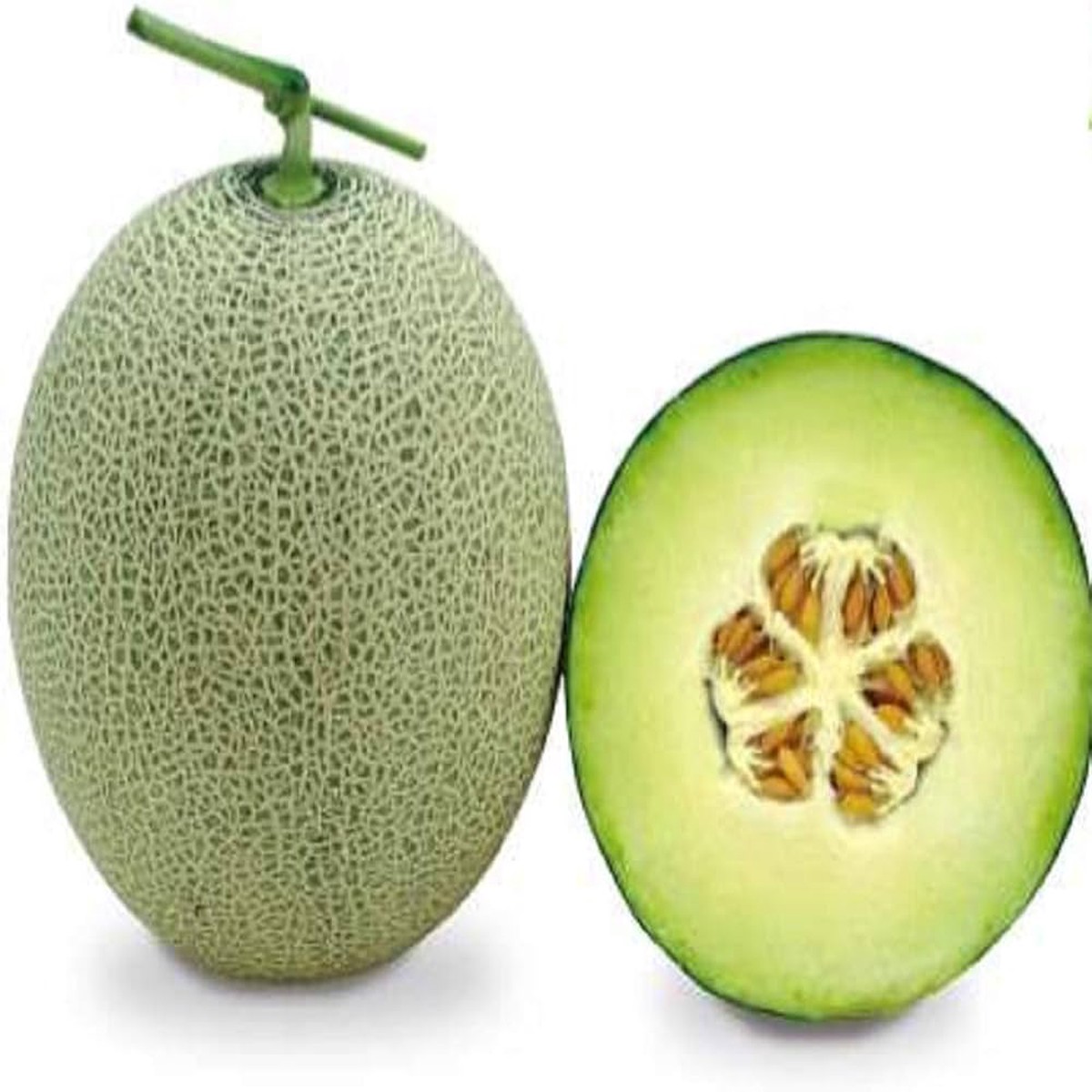 Green Muskmelon Fruit Seeds for Planting Sweet Melons for Home Garden, Heirloom & Non-GMO Seeds