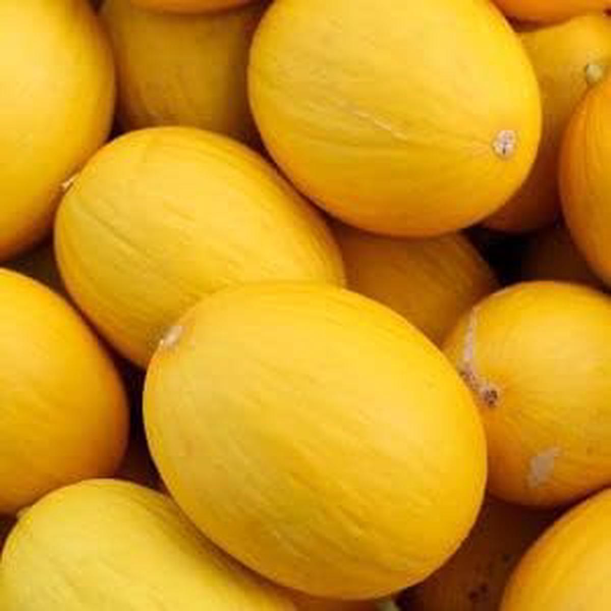Hami Melon Fruit Seeds Sweet Yellow Melons, Heirloom & Non-GMO Seeds for Home Gardens