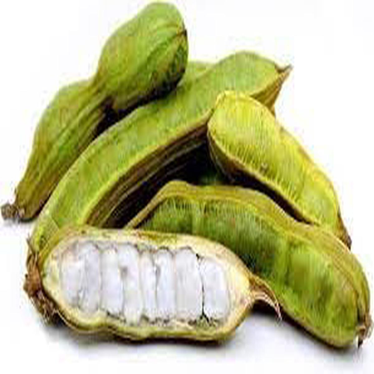 Inga Edulis Plant Seeds Heirloom, Non-GMO, High Germination Organic Garden Seeds for Planting Tropical Delight