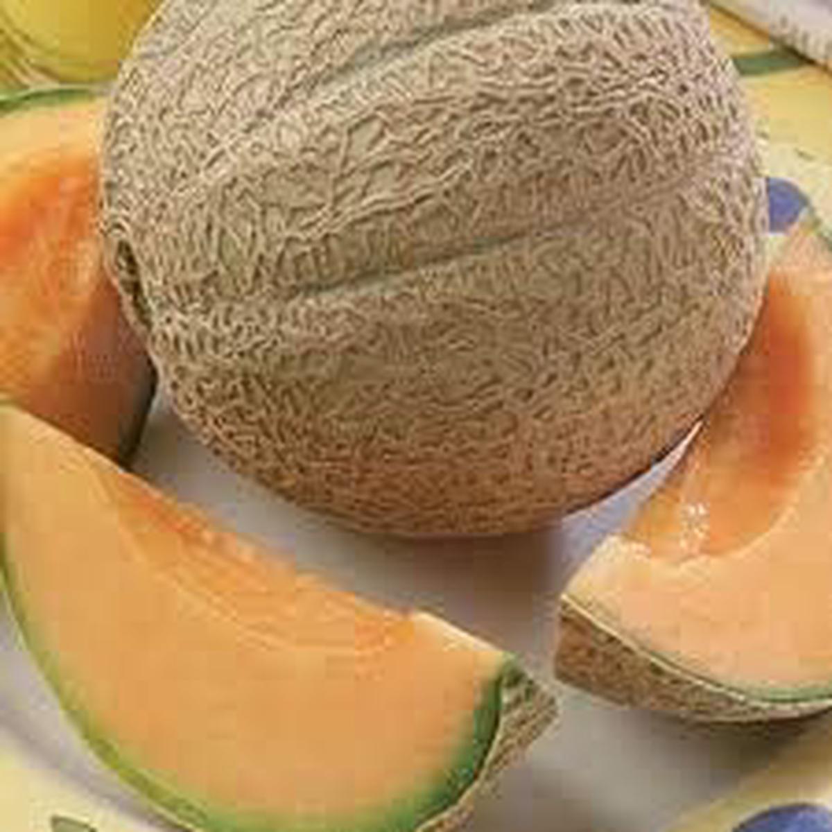 Light Orange Cantaloupe Melon Fruit Seeds  Heirloom, Non-GMO Seeds for Sweet Early Summer Harvests
