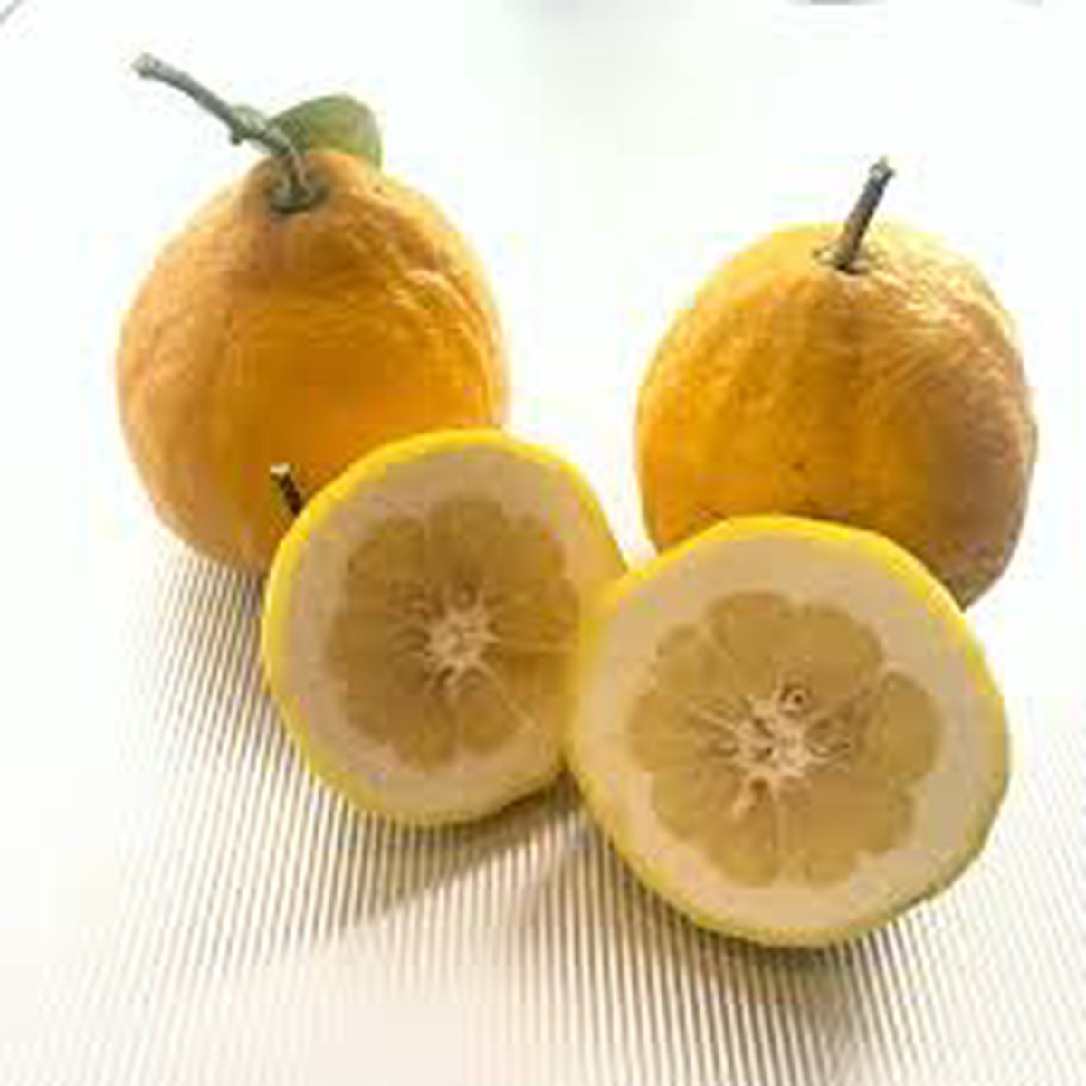 Ponderosa Lemon Fruit Seeds for Planting Aromatic, Large Lemons for Your Garden, Heirloom & Non-GMO Seeds