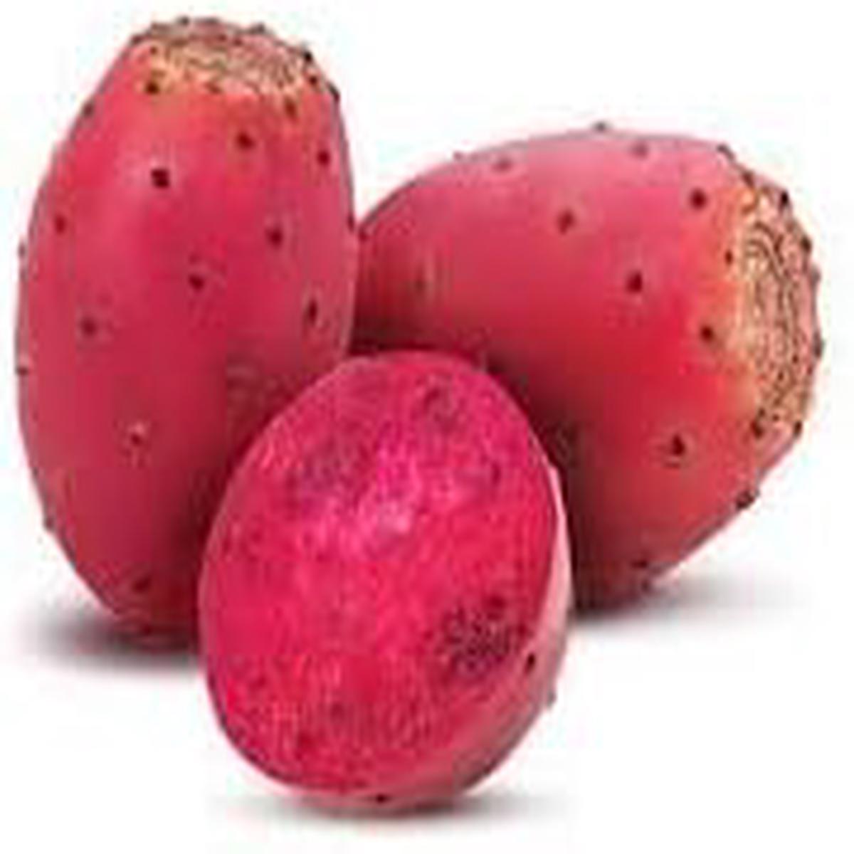 Prickly Pear Fruit Seeds for Planting Hardy & Resilient Cactus Fruits, Heirloom & Non-GMO, High Germination Seeds