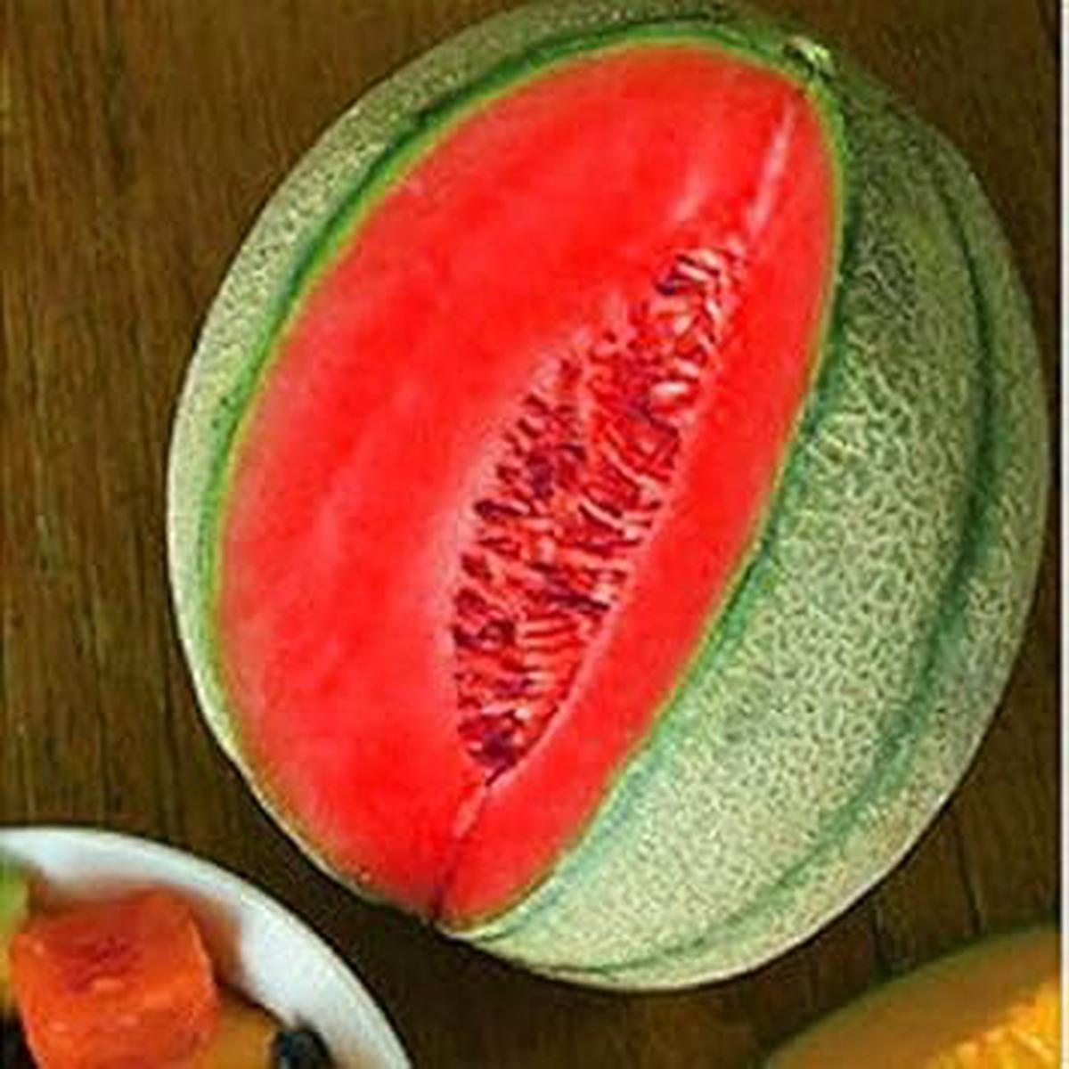 Red Cantaloupe Melon Fruit Seeds for Planting Heirloom Non-GMO High Germination Organic Garden Seeds