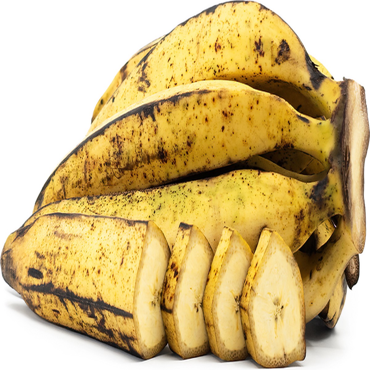 Rhino Horn Banana (African Giant Banana) Fruit Tree Seeds for Planting Heirloom Non-GMO Organic Garden Seeds