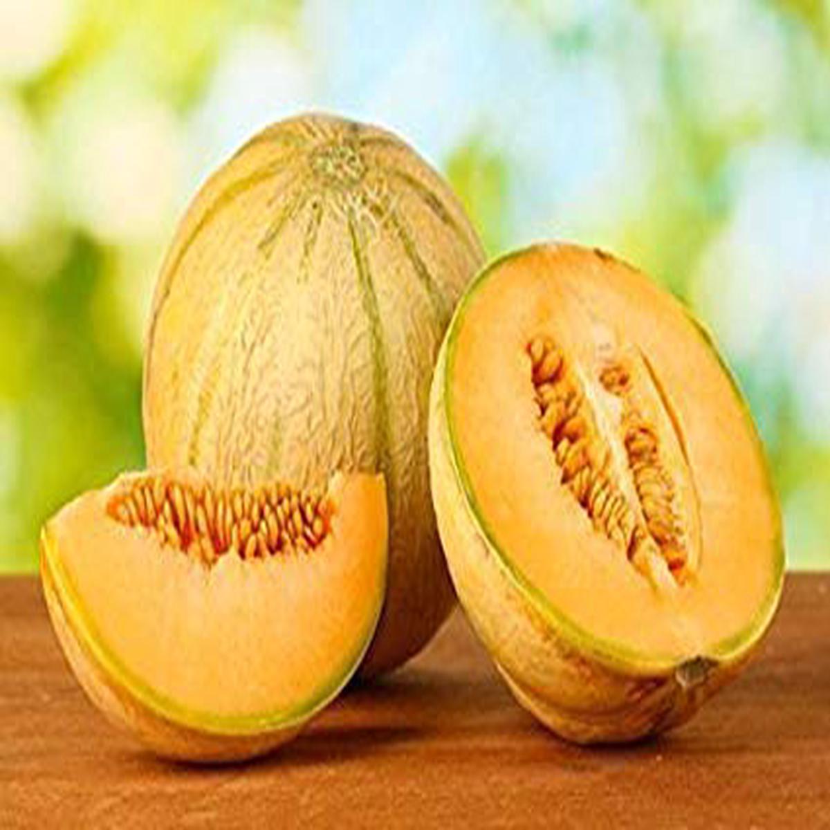 Sweet Melon Fruit Seeds for Planting Refreshing Summer Delight, Heirloom & GMO Free Seeds