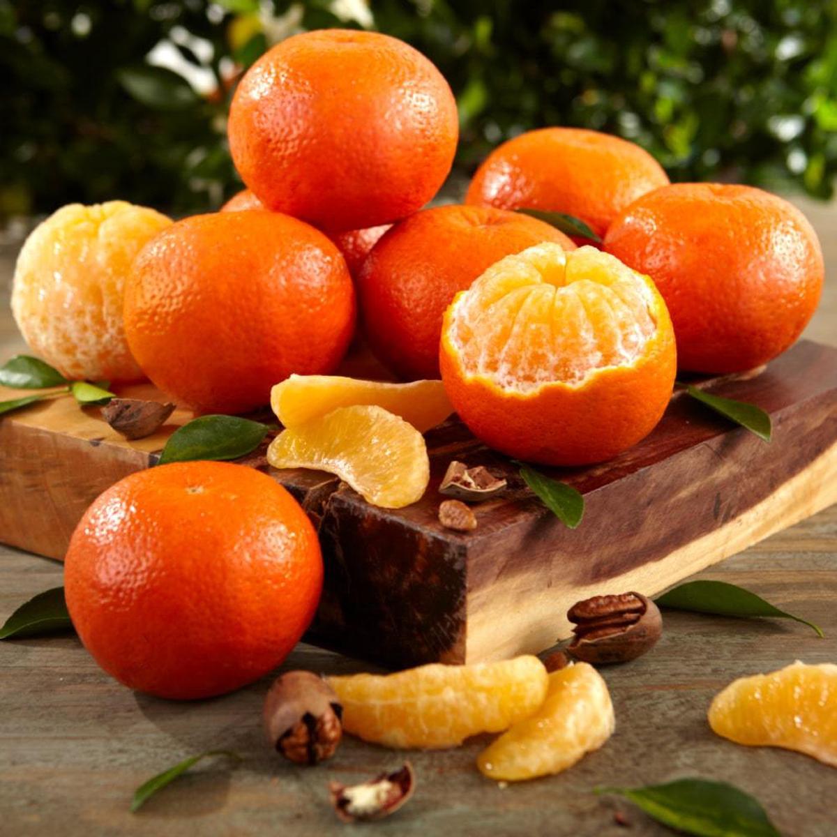 Temple Orange Seeds for Planting Grow Sweet & Juicy Tangor Citrus Fruits