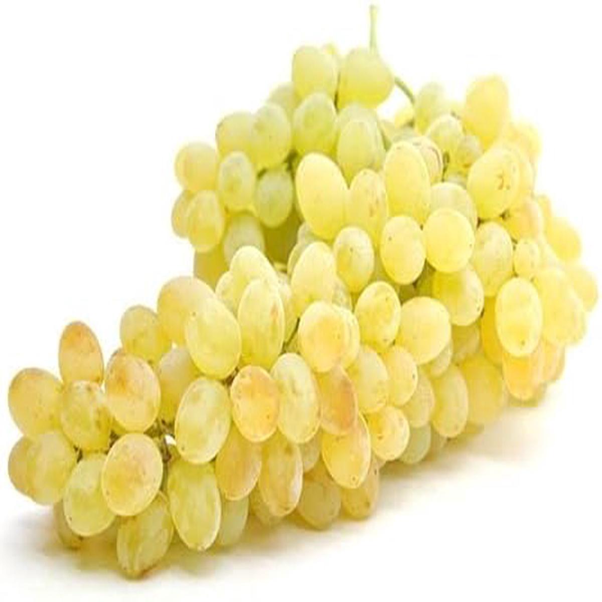 Yellow Grape Fruit Seeds for Planting Delicious, Vibrant Grapes, Heirloom & Non-GMO, High Germination Seeds