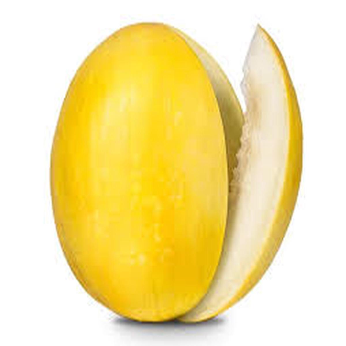 Yellow Muskmelon Fruit Seeds for Planting  Sweet, Refreshing Melons, Heirloom & Non-GMO, High Germination Seeds