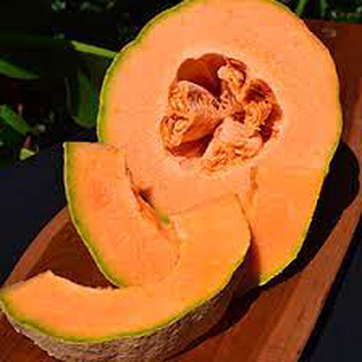 Ambrosia Cantaloupe Fruit Seeds for Planting  Cucumis melo Ambrosia, Heirloom, Non-GMO, High Germination Organic Garden Seeds