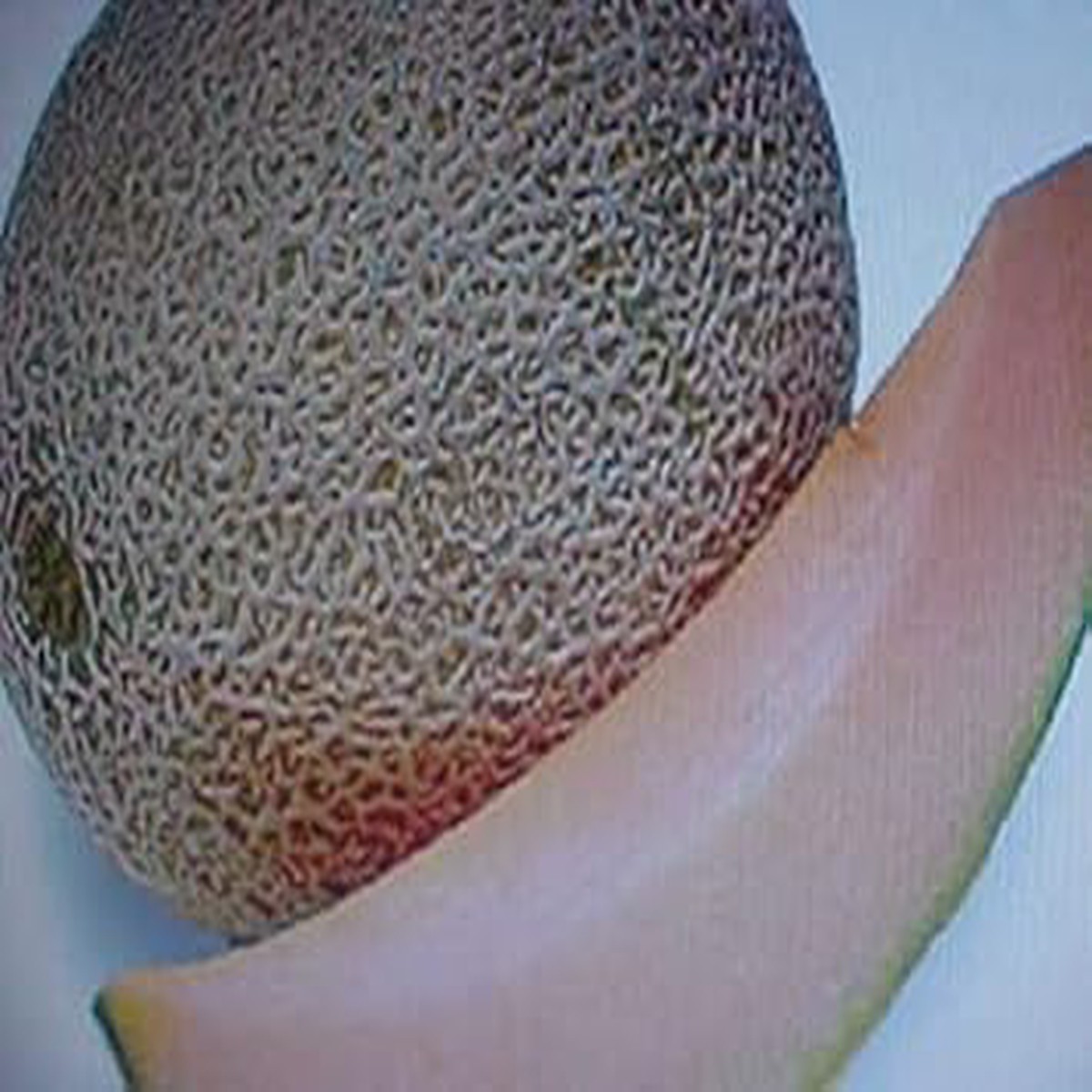 Brown Cantaloupe Melon Fruit Seeds for Planting  Sweet, Aromatic Melons, Heirloom & Non-GMO, High Germination Seeds