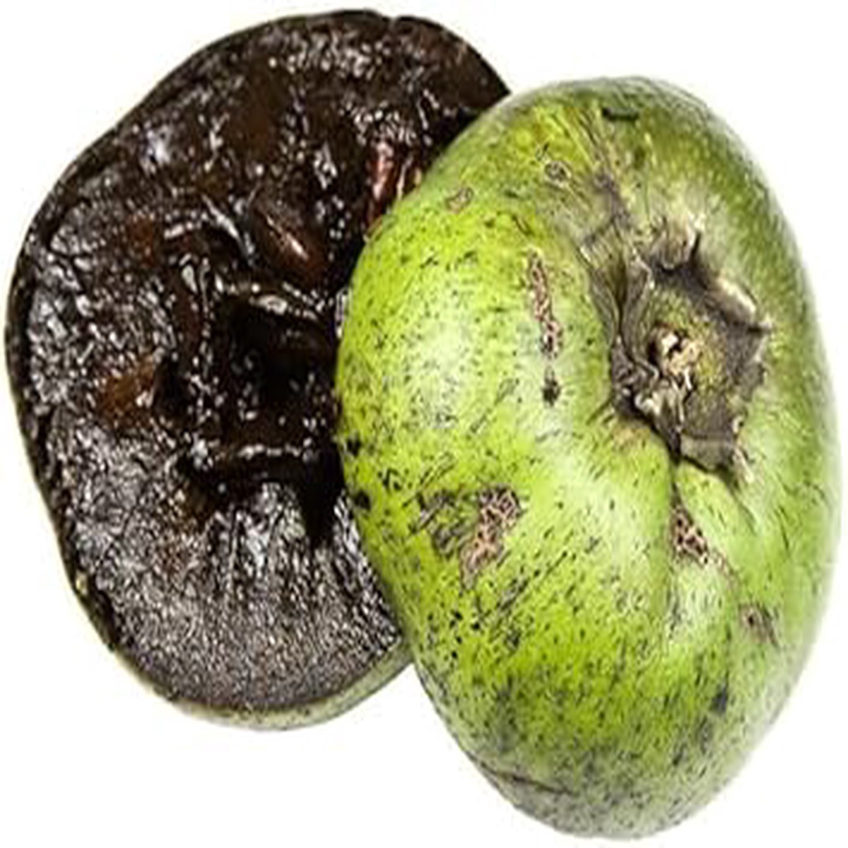 Fresh Digyna Sapote Fruit Seeds for Planting | Heirloom Non-GMO Organic Seeds for Exotic Garden Trees