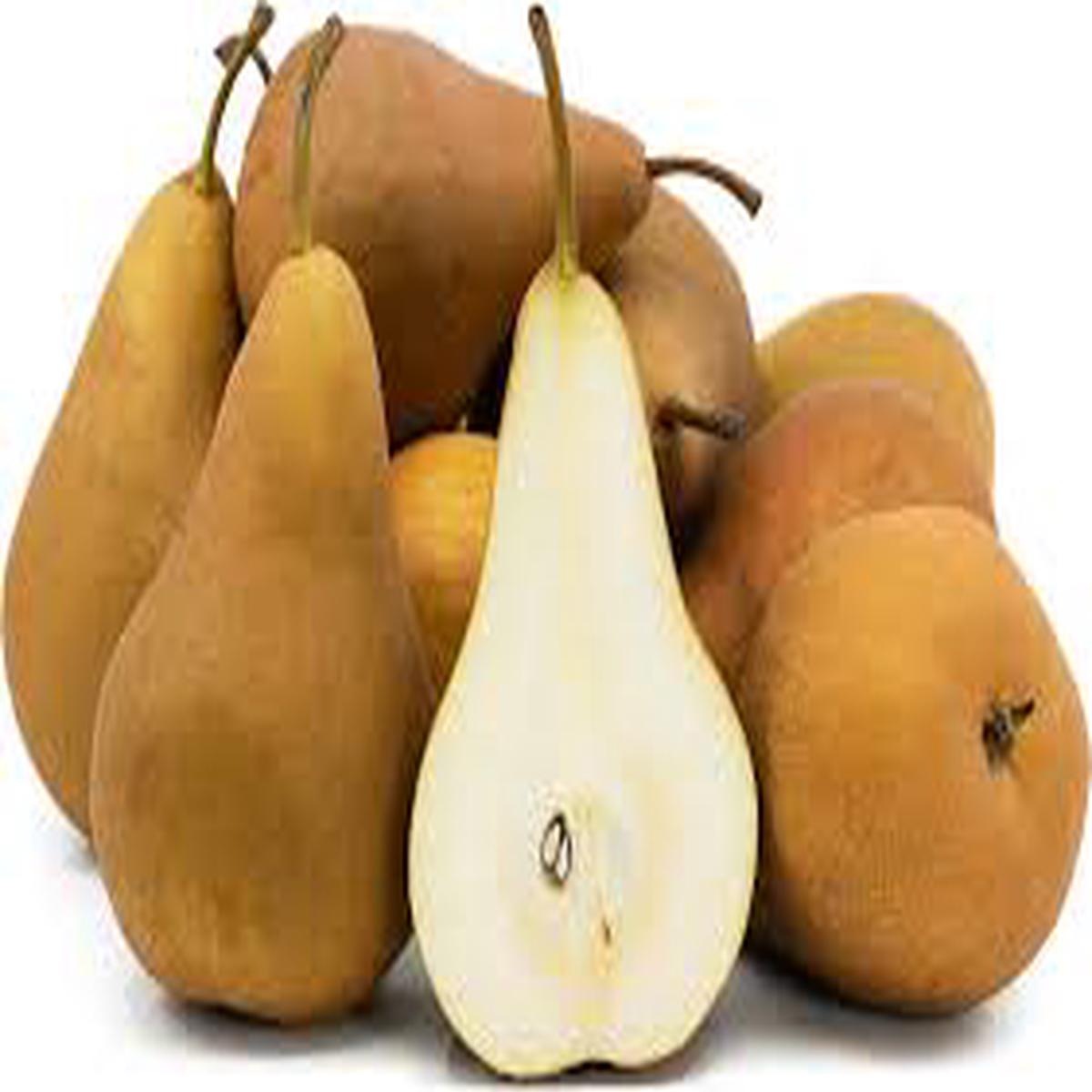 Golden Russet Pear Fruit Seeds for Planting Unique Pear-Melon Hybrid, Heirloom & Non-GMO, High Germination Seeds
