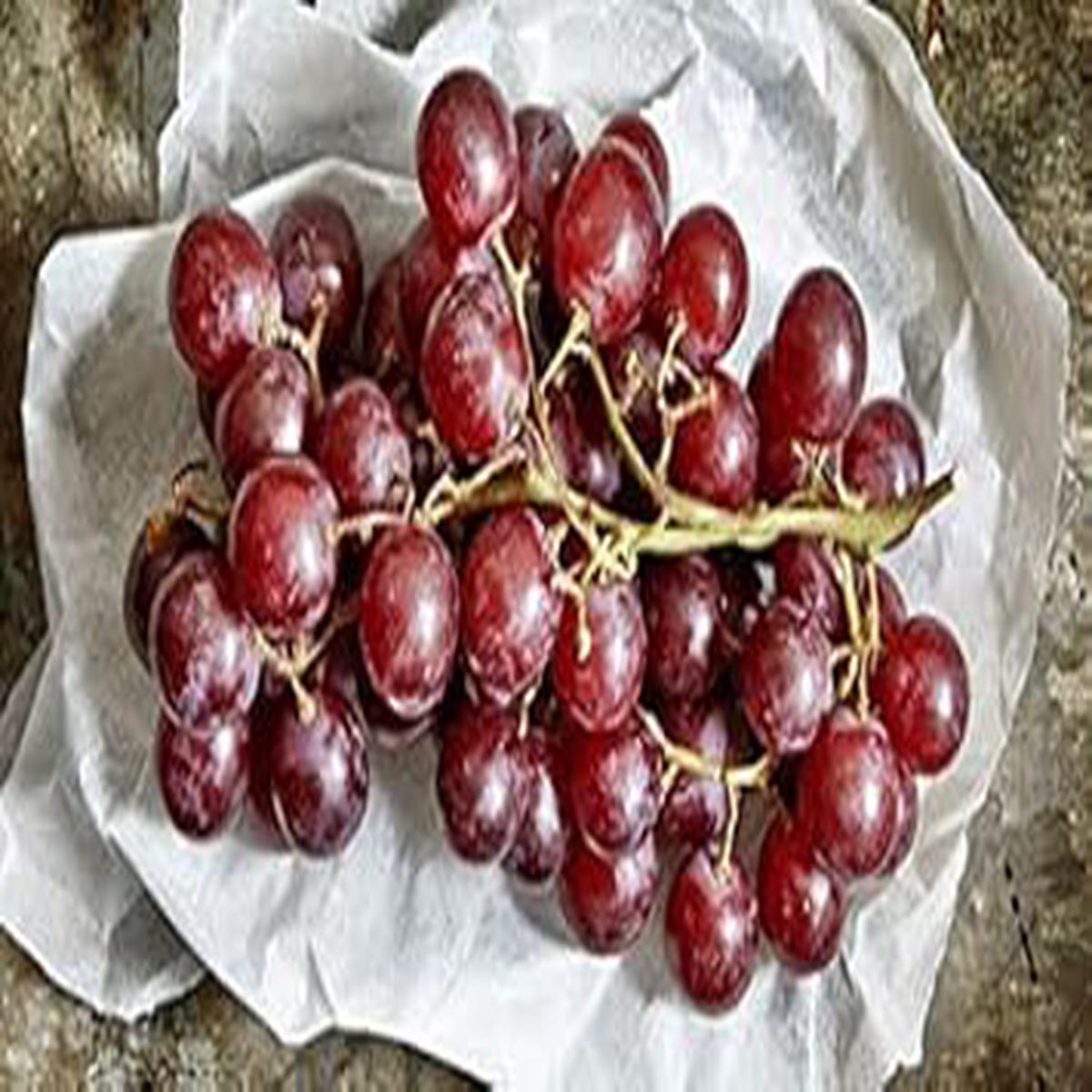 Grape Fruit Seeds for Planting  Brown Variety, Heirloom & Non-GMO Seeds Rich in Vitamin C for Home Gardens