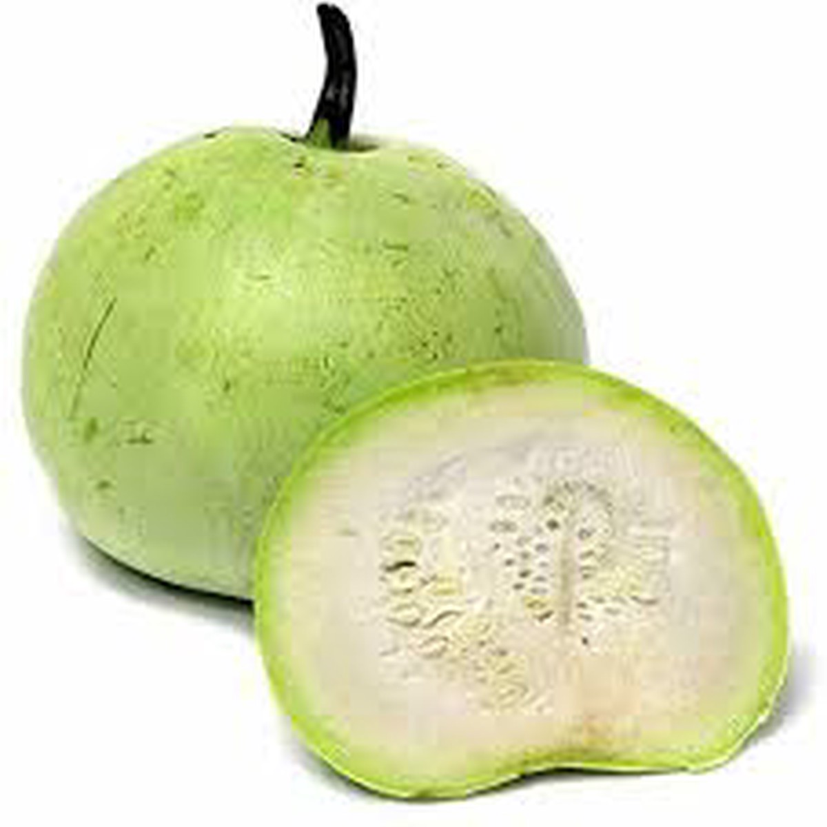 Green Apple Gourd Fruit Seeds  Distinctive & Unique Gourds for Your Home Garden, Heirloom Seeds