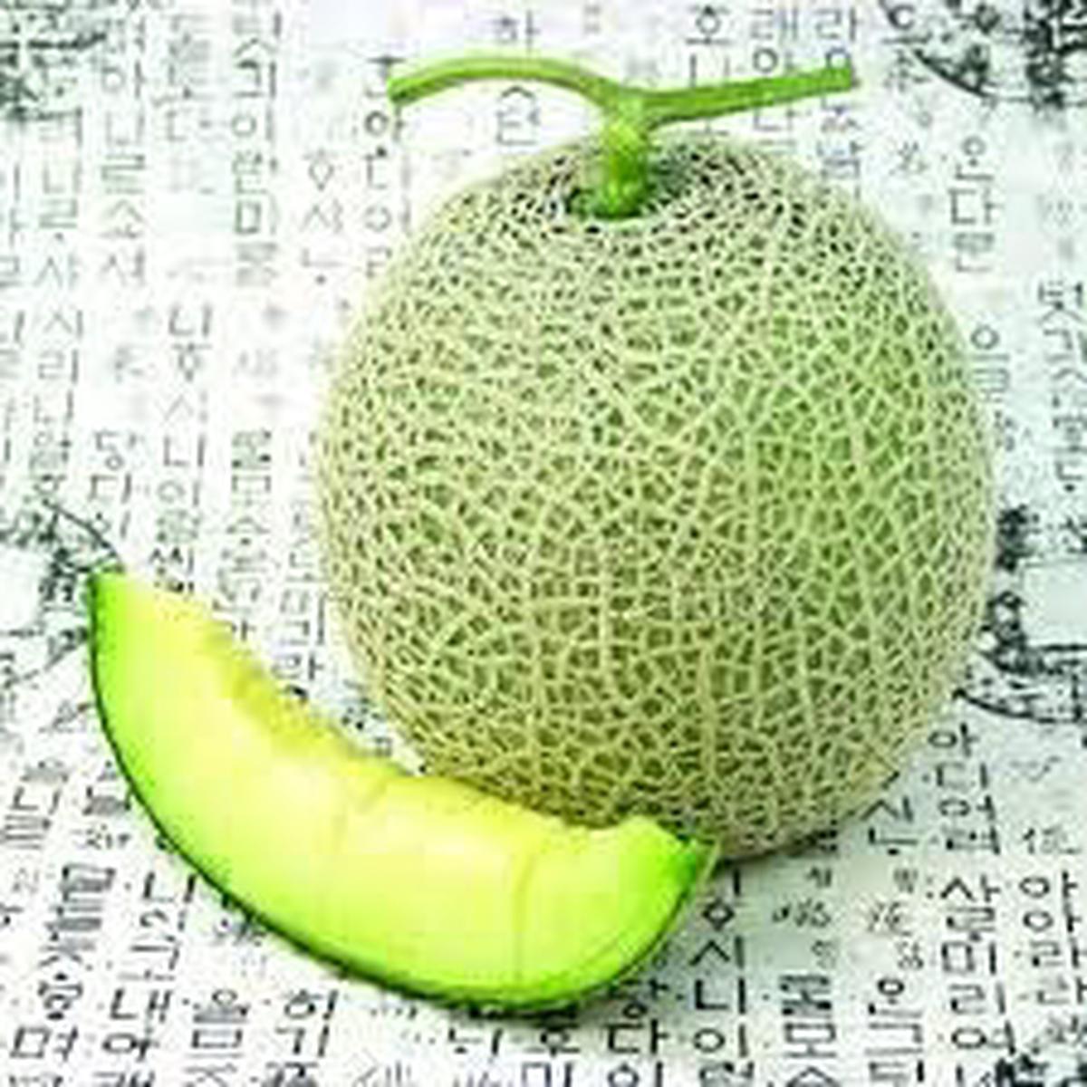 Green-White Cantaloupe Melon Fruit Seeds Heirloom, Non-GMO Seeds for Sweet Summer Garden Harvests