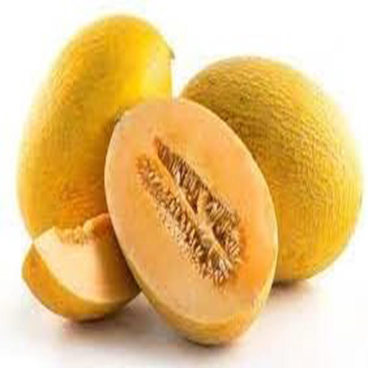 Hami Melon Fruit Seed Collection for Planting | Heirloom Non-GMO Organic Garden Seeds for Sweet Melons