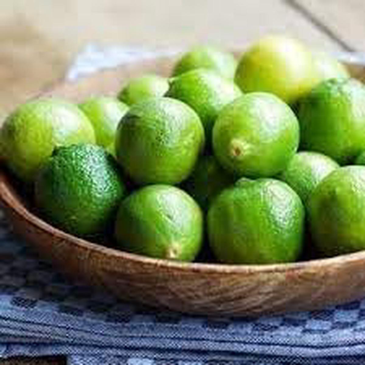Lime Seeds Grow Tangy & Refreshing Lime Trees