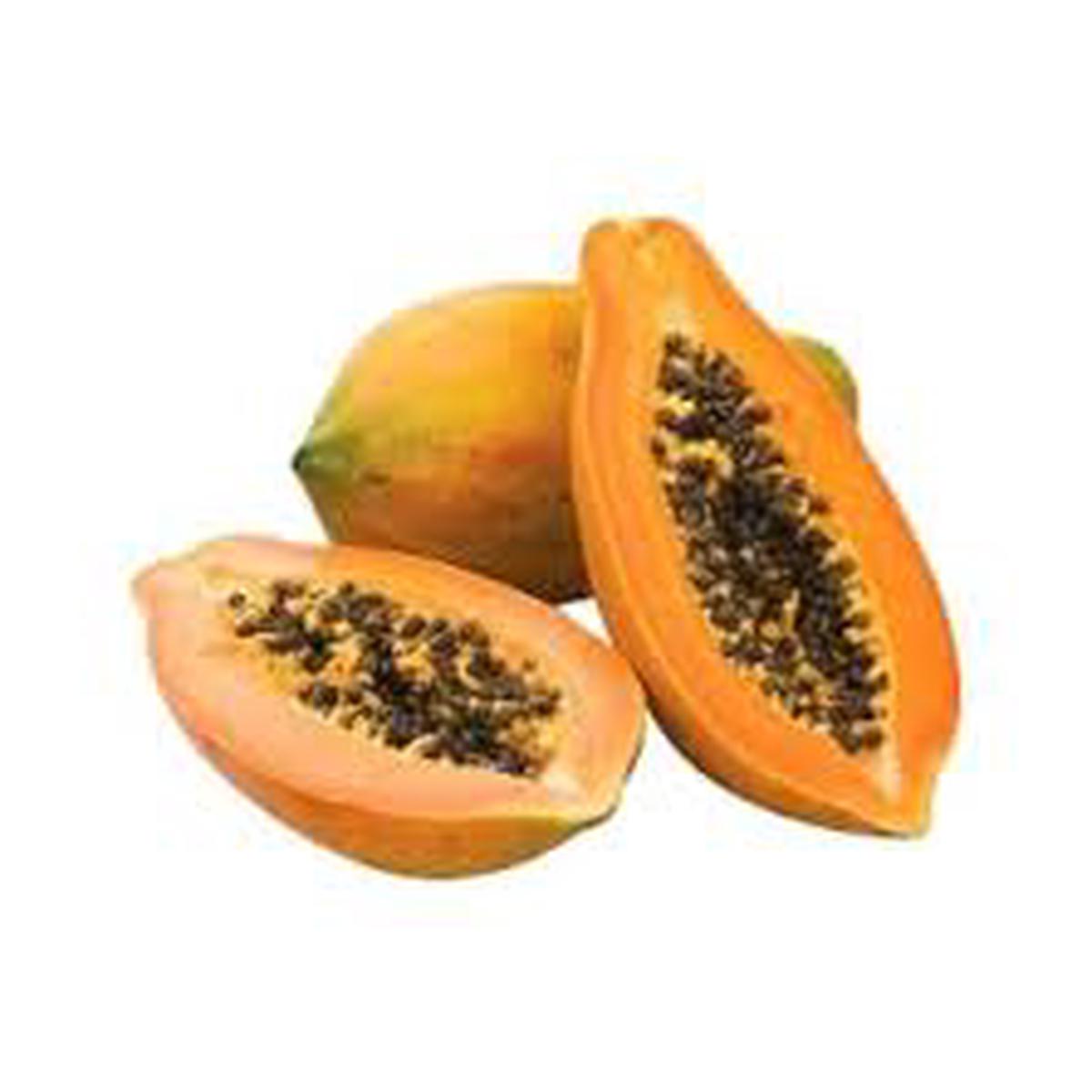 Orange Papaya Fruit Seeds for Planting  Grow Fresh, Tropical Papayas in Your Backyard Garden, Heirloom & Non-GMO