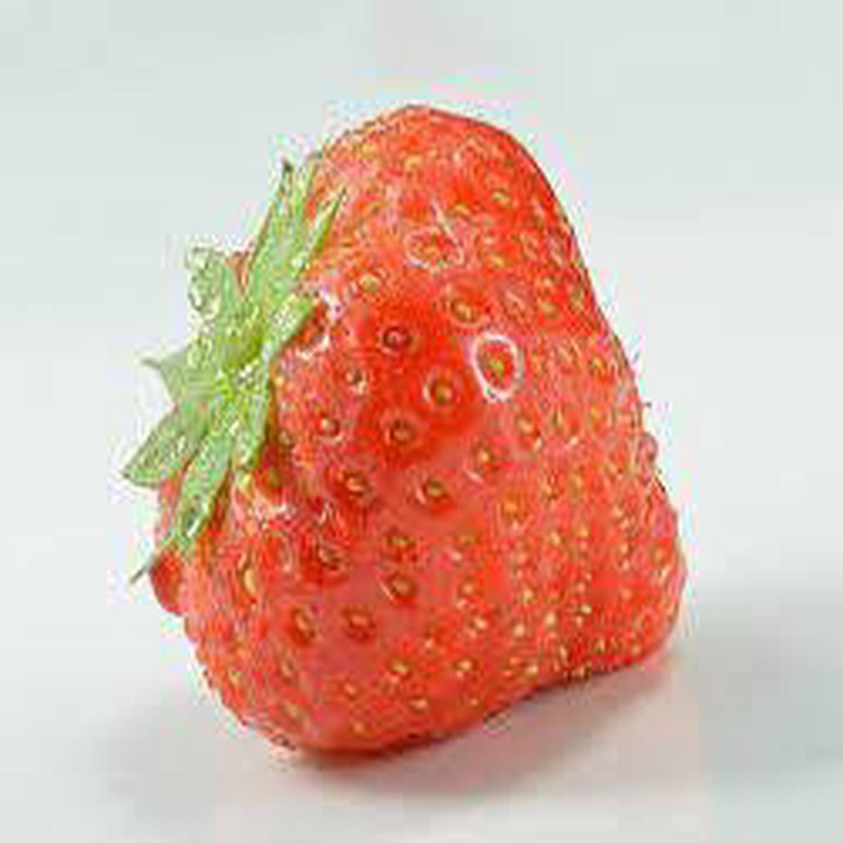 Orange Strawberry Fruit Seeds for Planting  Grow Sweet, Juicy Strawberries, Heirloom & Non-GMO Seeds for Home Garden