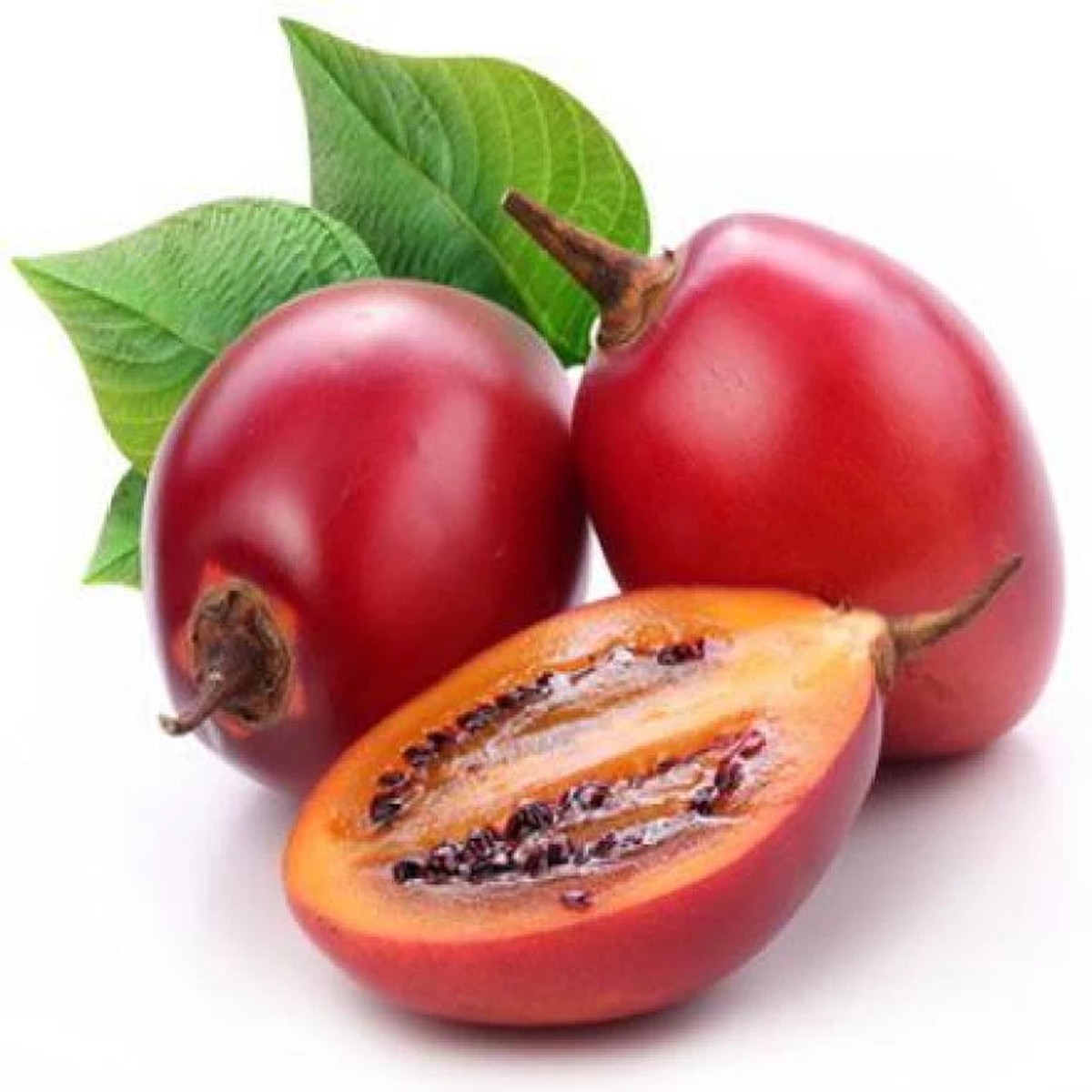 Red Tamarillo Fruit Seeds  Exotic, Sweet Trees, Heirloom & Non-GMO Seeds for Home Garden Planting