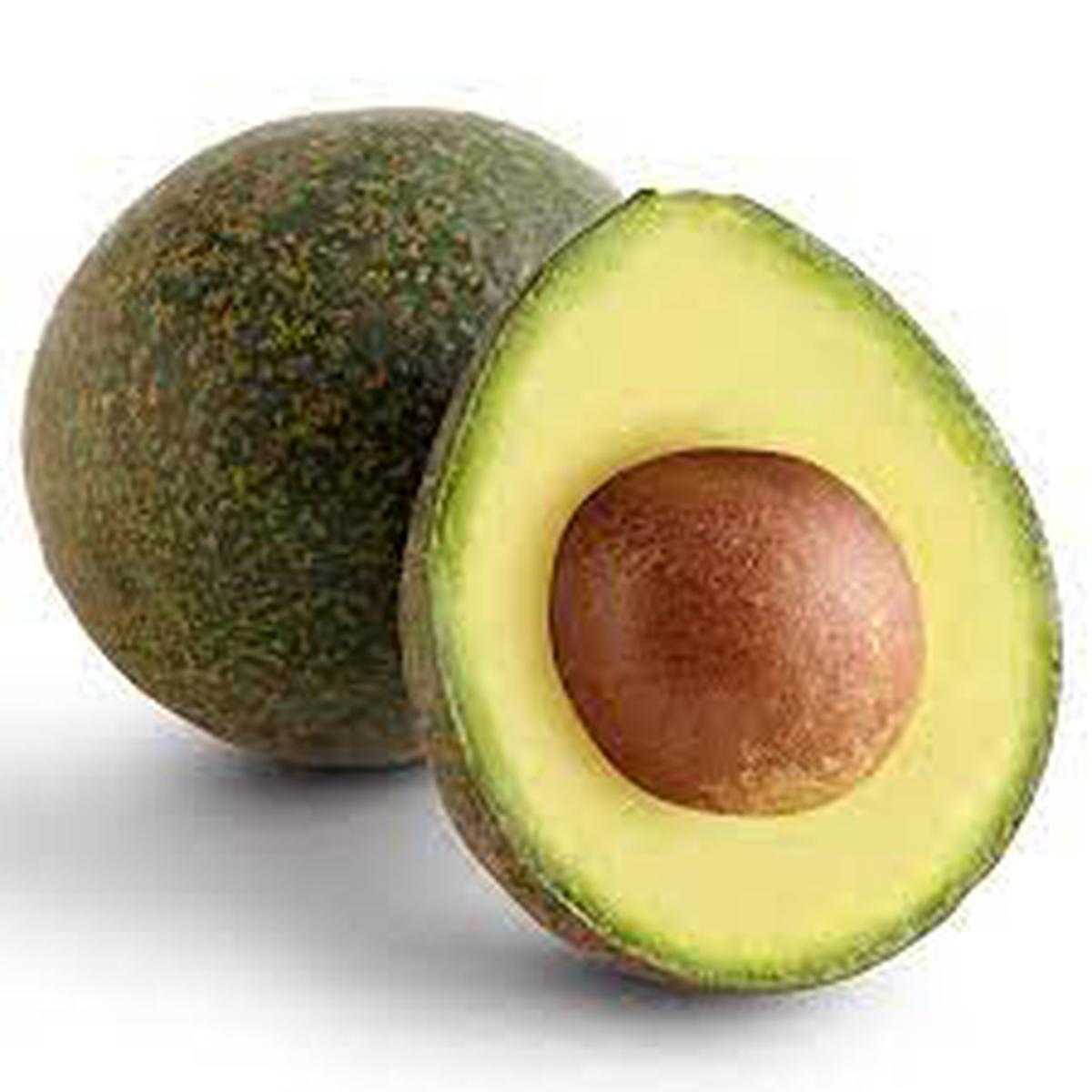Reed Avocado Seeds for Planting Heirloom, High Germination, Non-GMO Organic Garden Fruit Seeds