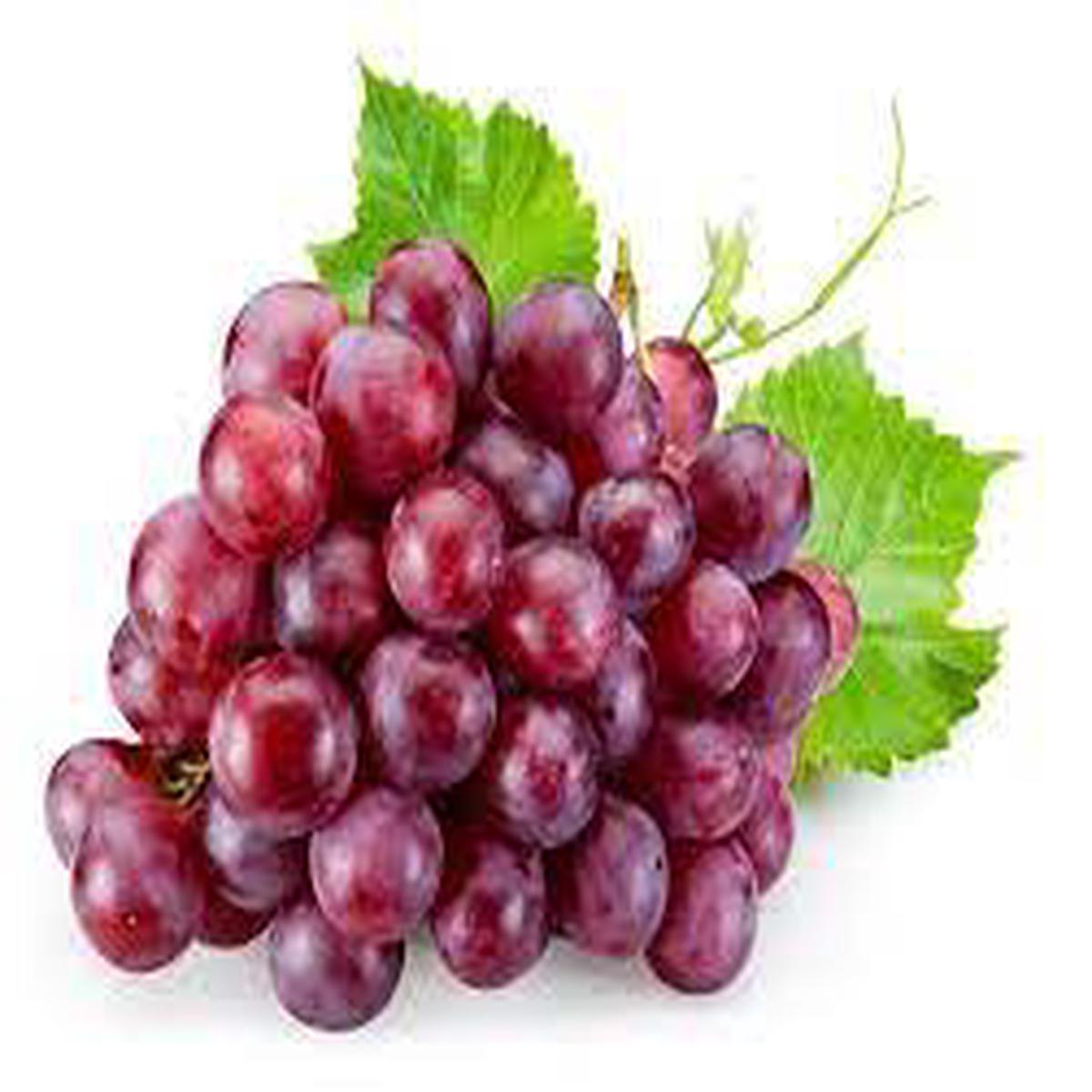 Ruby Seedless Grapes Fruit Seeds for Planting Heirloom & Non-GMO Seeds for Classic Sweet Flavor Home Garden