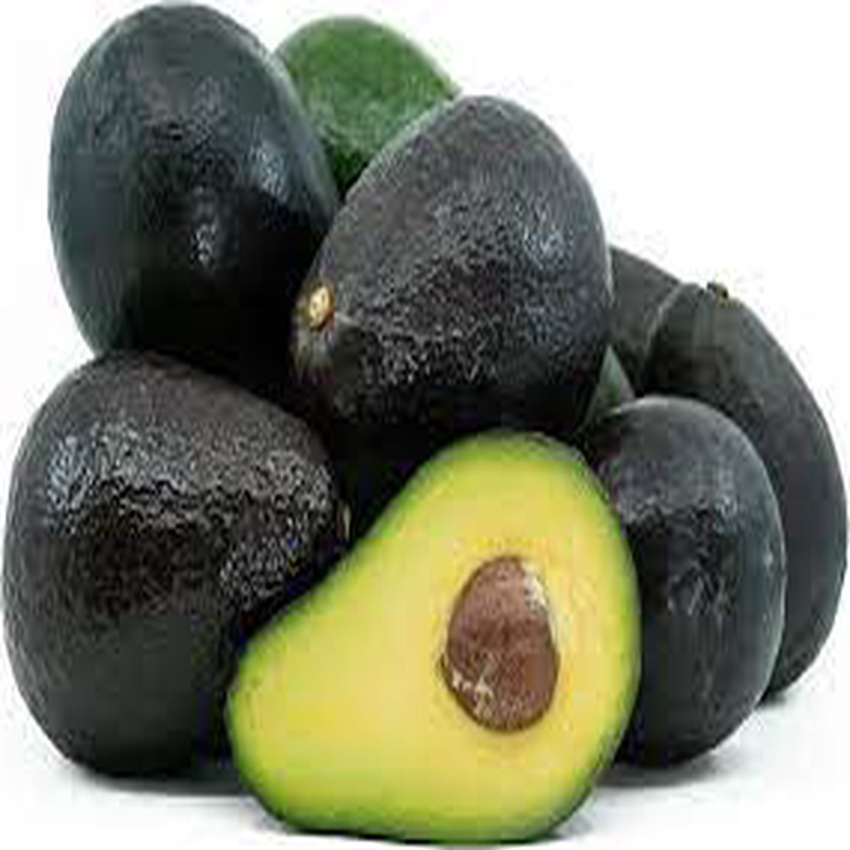 Sirpriz Avocado Fruit Seeds for Planting Heirloom, Non-GMO, High Germination Organic Garden Seeds for Growing Avocados in Cooler Climates