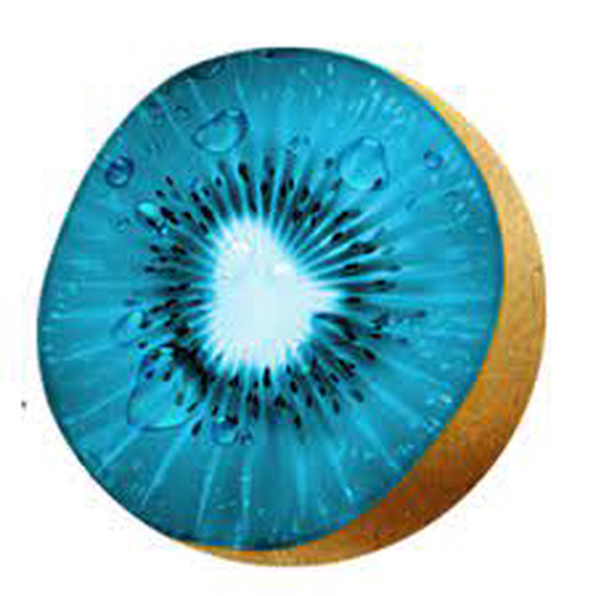 Sky Blue Kiwi Fruit Seeds for Planting Heirloom, Non-GMO, High Germination Organic Garden Seeds