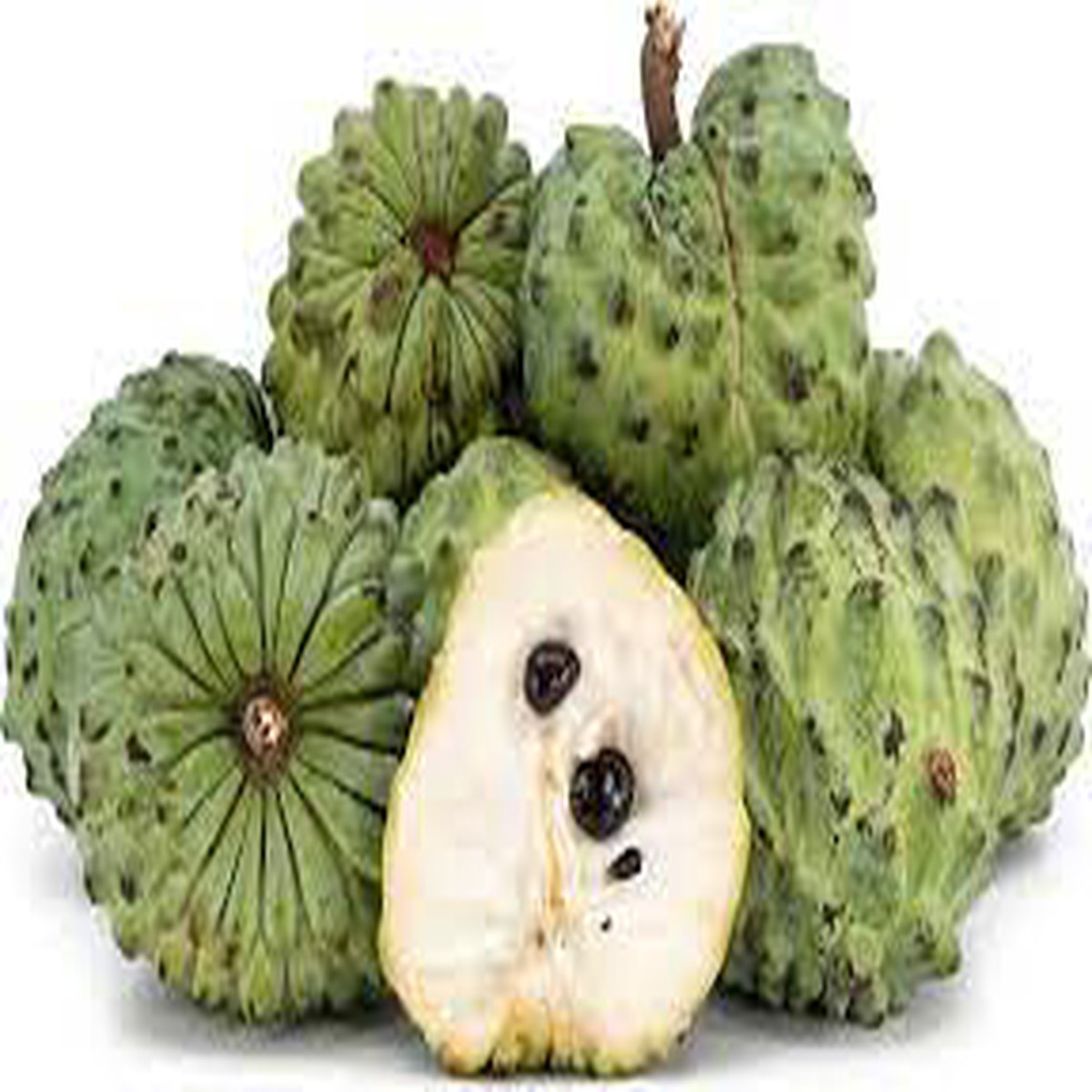 Sweet Sop (Sugar Apple) Fruit Seeds for Planting High-Quality & Non-GMO Heirloom Seeds for Home Garden