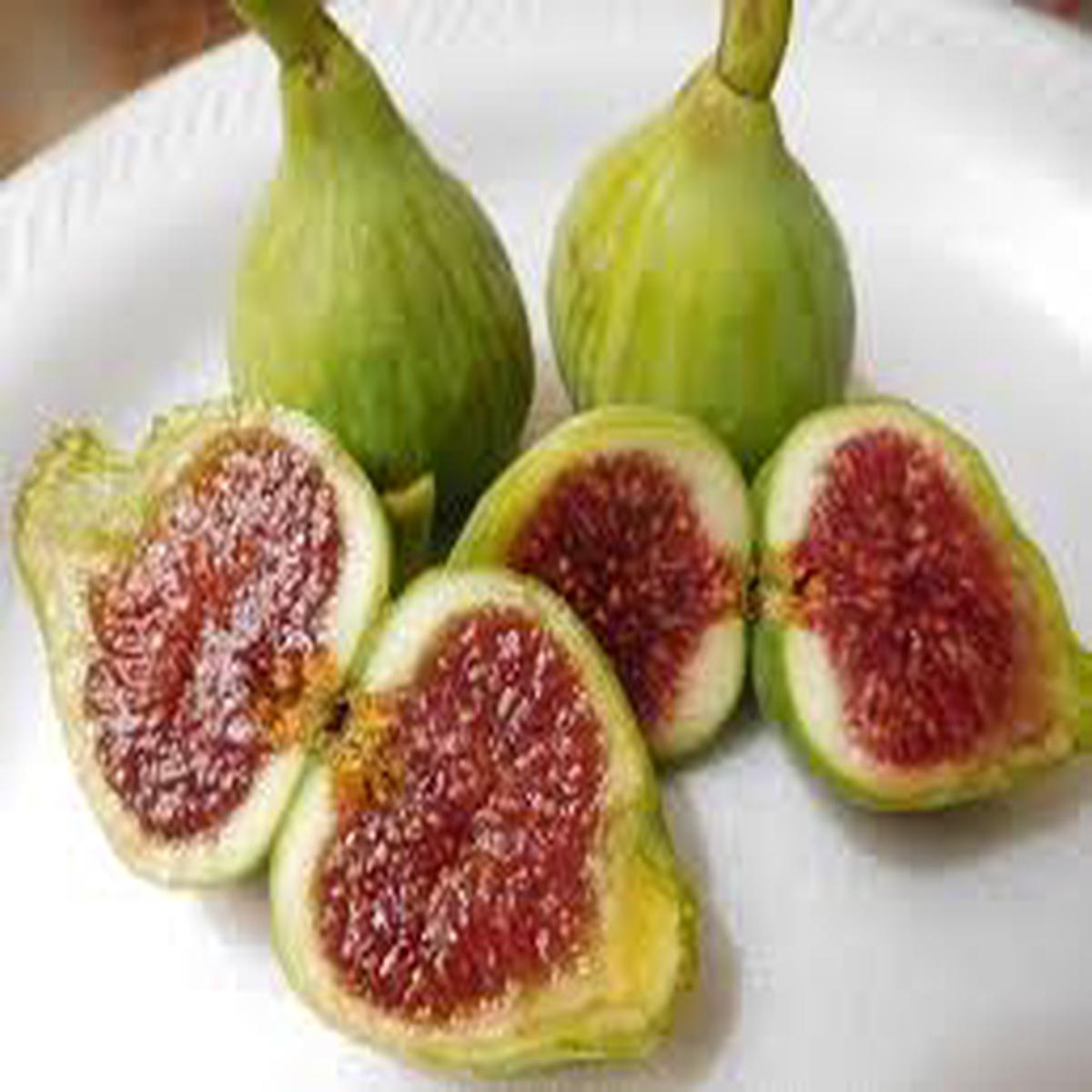 Vasilika Aspra Fruit Seeds for Planting Grow Unique Greek Variety, Heirloom & Non-GMO Seeds for Home Garden