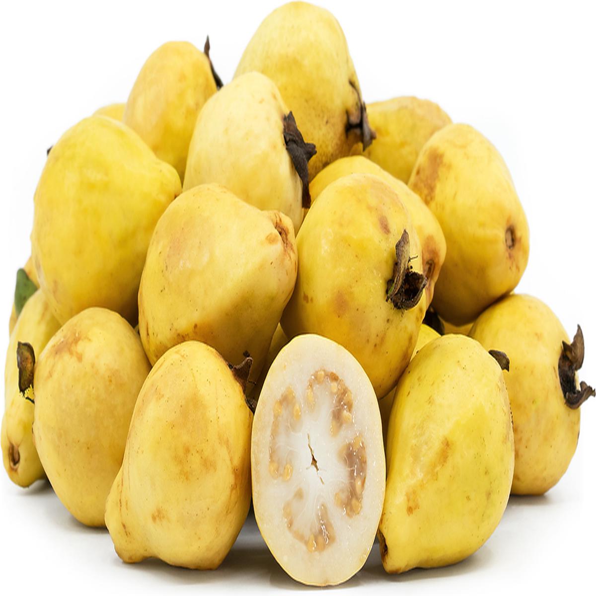 Yellow Mexican Cream Guava Fruit Seeds for Planting  Sweet Tropical Guavas, Heirloom & Non-GMO Seeds